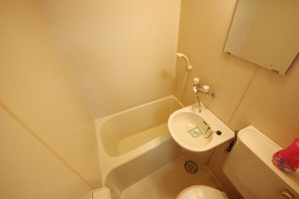 トトロの森 3号館の物件内観写真